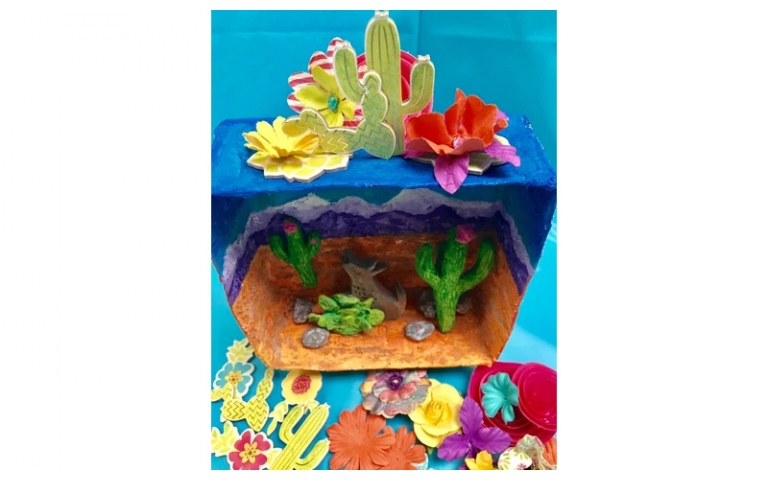 Biome Box Project by Tracy Evans